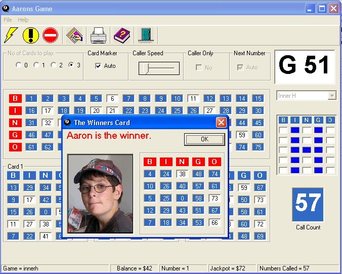 Screenshot of Aarons Bingo 4.02